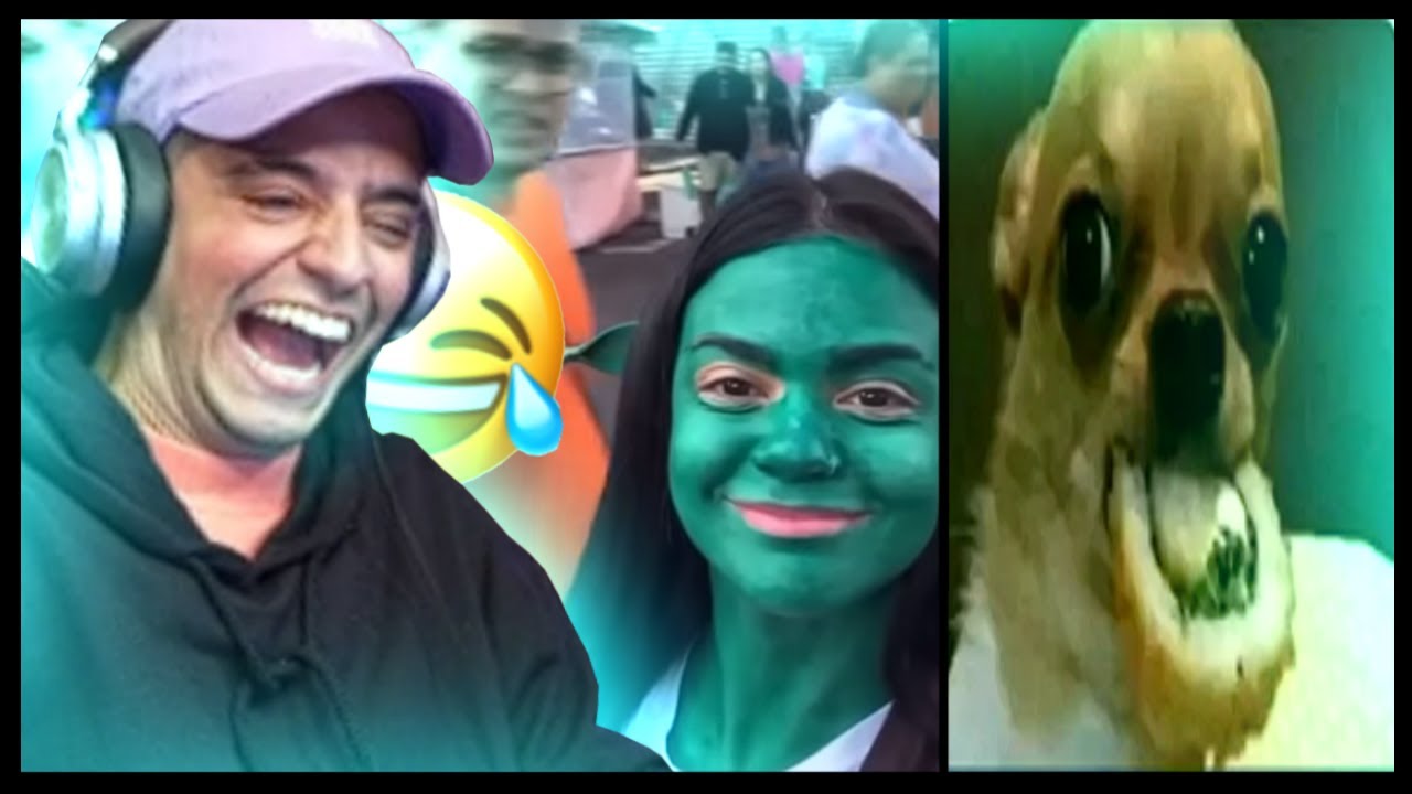 LOUD CORINGA REAGINDO AOS MELHORES MEME DA AMORA + TIK TOKS ALEATORIOS