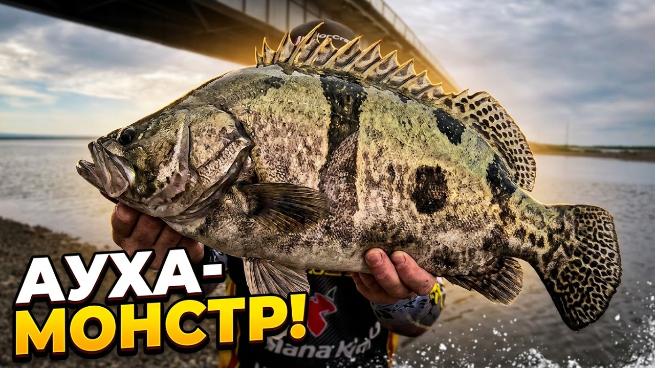 ГИГАНТСКИЕ ОКУНИ и ЛУЧШАЯ рыбалка на ДЖИГ. Рыбалка на озере Гасси.