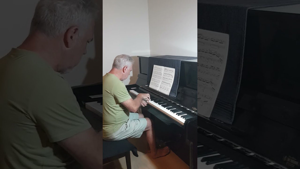 Ietsie oor die Andante molto uit Grieg se Klaviersonate in E-mineur, Op. 7
