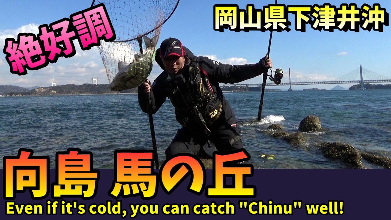 季節風に強い釣り場で寒チヌを釣ってみた！ in 岡山県下津井沖