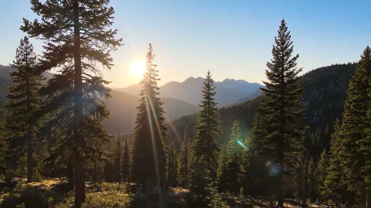 Warm Folk & Country Acoustic for Slow Living 🌿 Zenflow Music