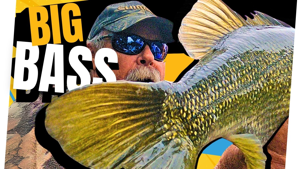 SPECTACULAR Surface Fishing Action For Early Season Bass!
