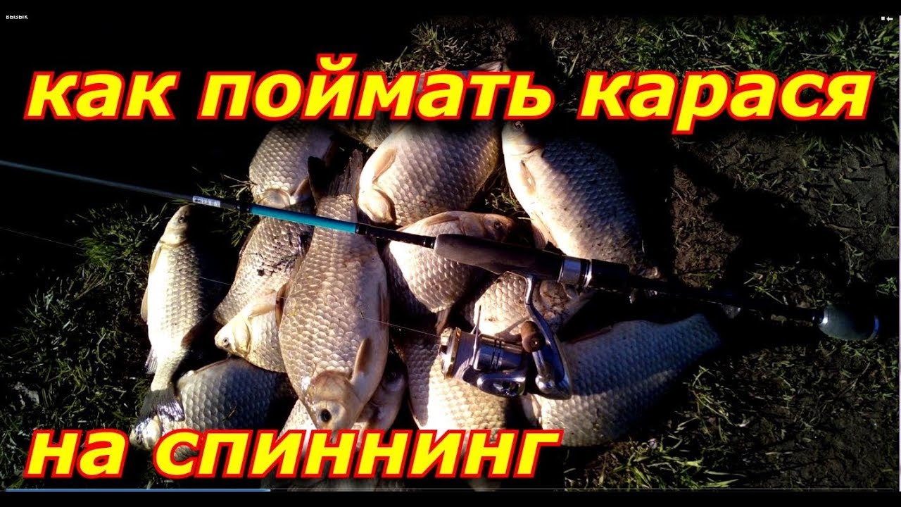 Как поймать карася на сплит-шот. Ловля карася весной.