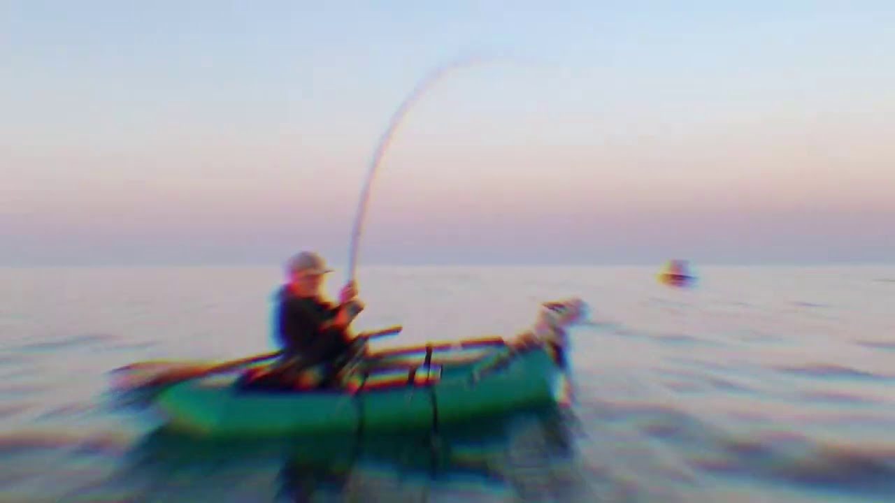 Vesterhavet 2020: Efter makrel og havbars