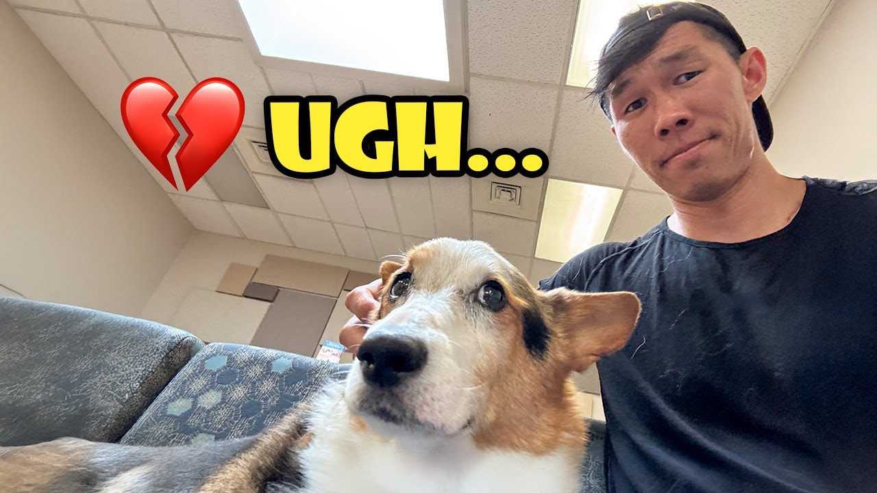I Wasn't Ready For This News || Life After College: Ep. 795