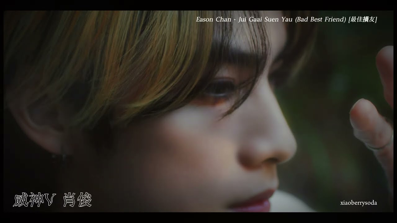 vietsub • engsub - pinyin | Best Friend ‘最佳损友’ • WayV XiaoJun
