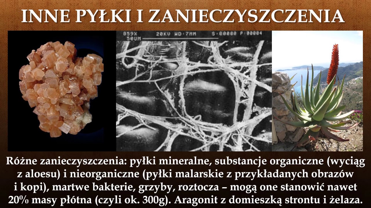 Całun Turyński - Wykład - Część 9: Pyłki i zanieczyszczenia obecne na płótnie