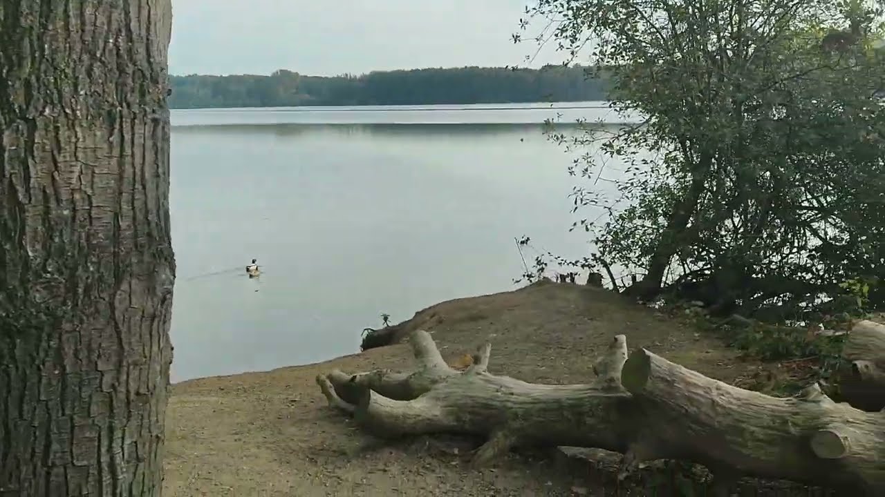 Spaziergang an den Krickenbecker seen