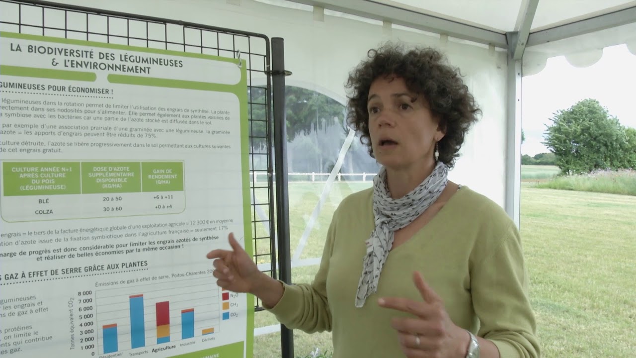 2013 - Vidéo LEGUMINEUSES - La production d'azote par les légumineuses ...