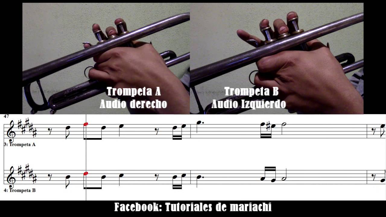 De que manera te olvido