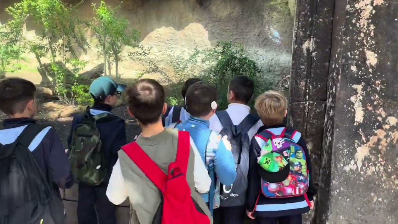 SALIDA BIOPARC 1º CICLO