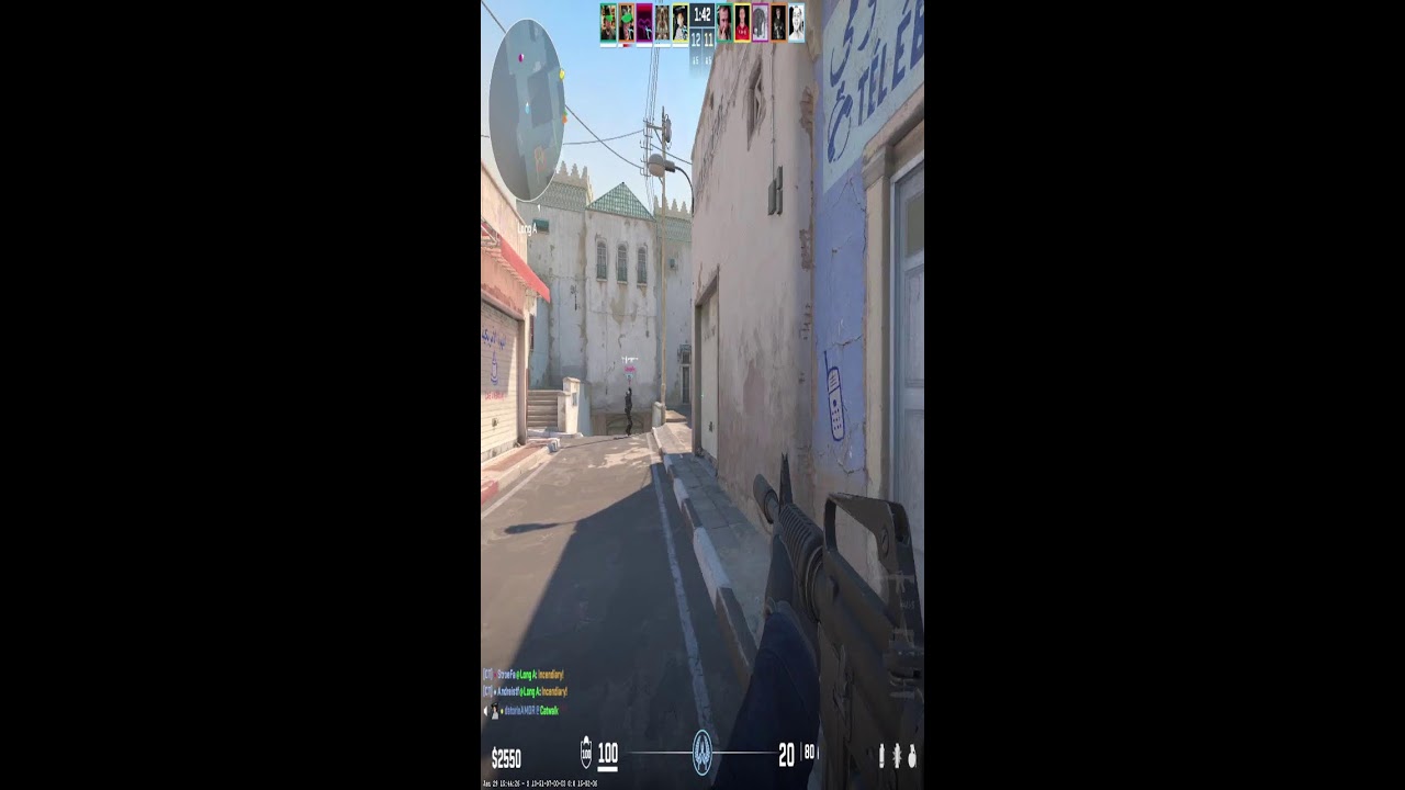 Salut hai la joaca | Cs 2 faceit (Portrait)