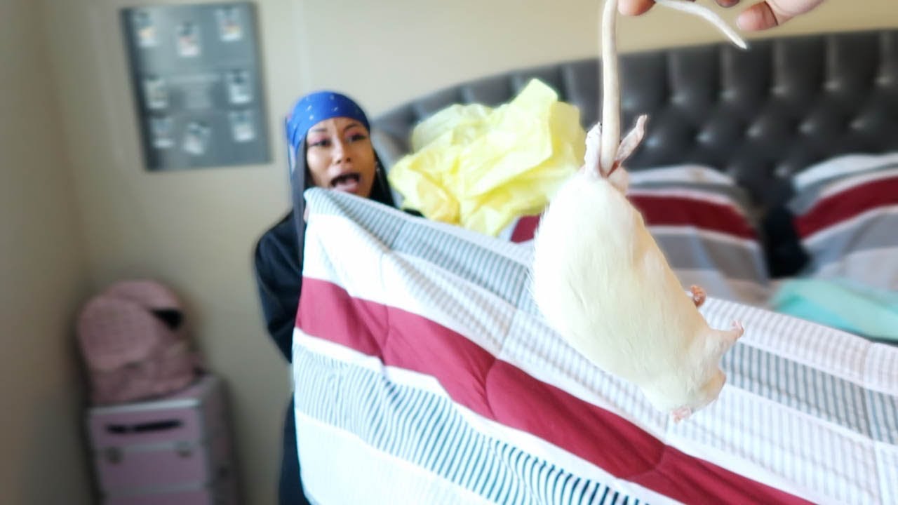 SURPRISING GIRLFRIEND WITH HER BIGGEST FEAR!!! (SHE CRIED)