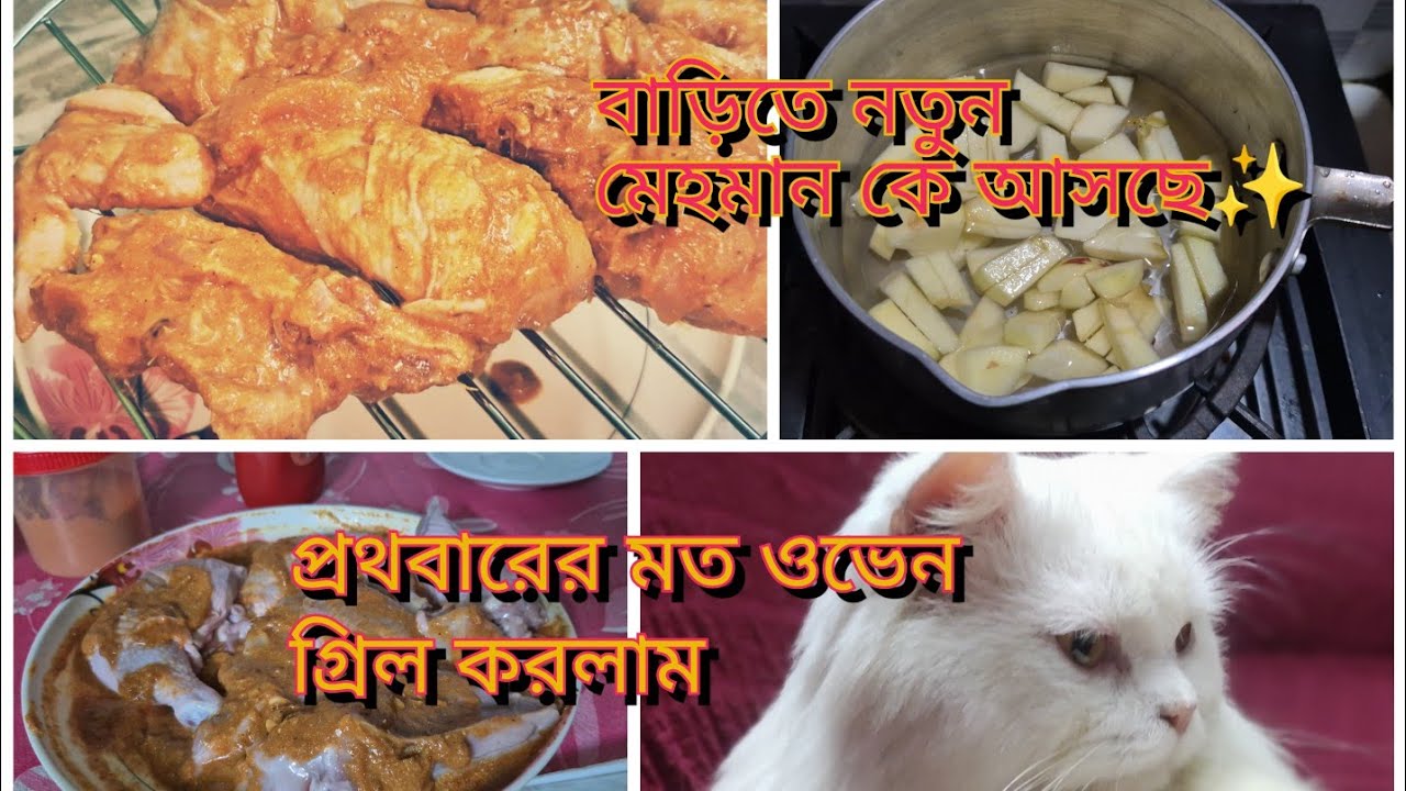 জিবনে প্রথমবার এর মত অভেন এ গ্রিল বানালাম🤤#ovengrill#foryou #subscribers #chicken 