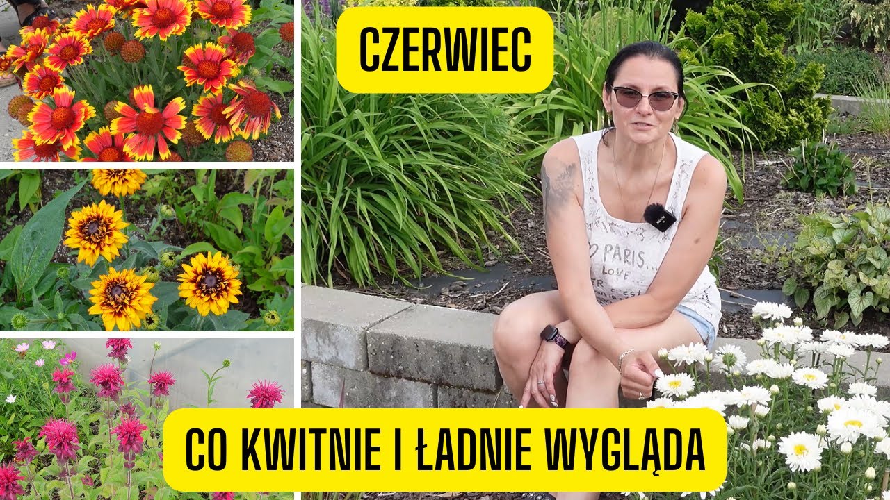 Czerwiec w ogrodzie &ndash; co kwitnie latem? Byliny i rośliny kwitnące w czerwcu