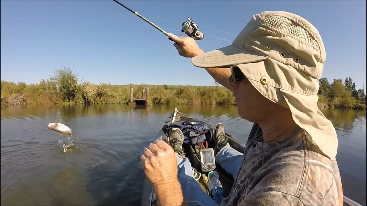Drop shot early fall