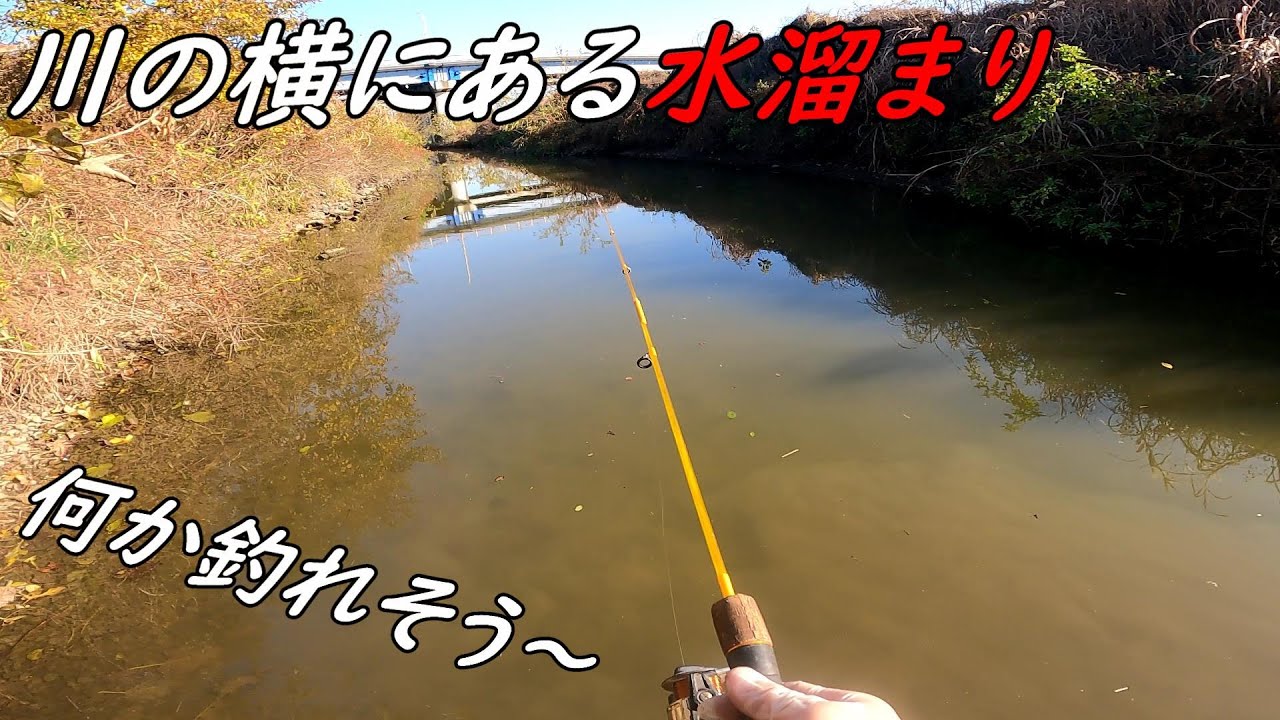 川の横にある水溜まりって釣れそう～