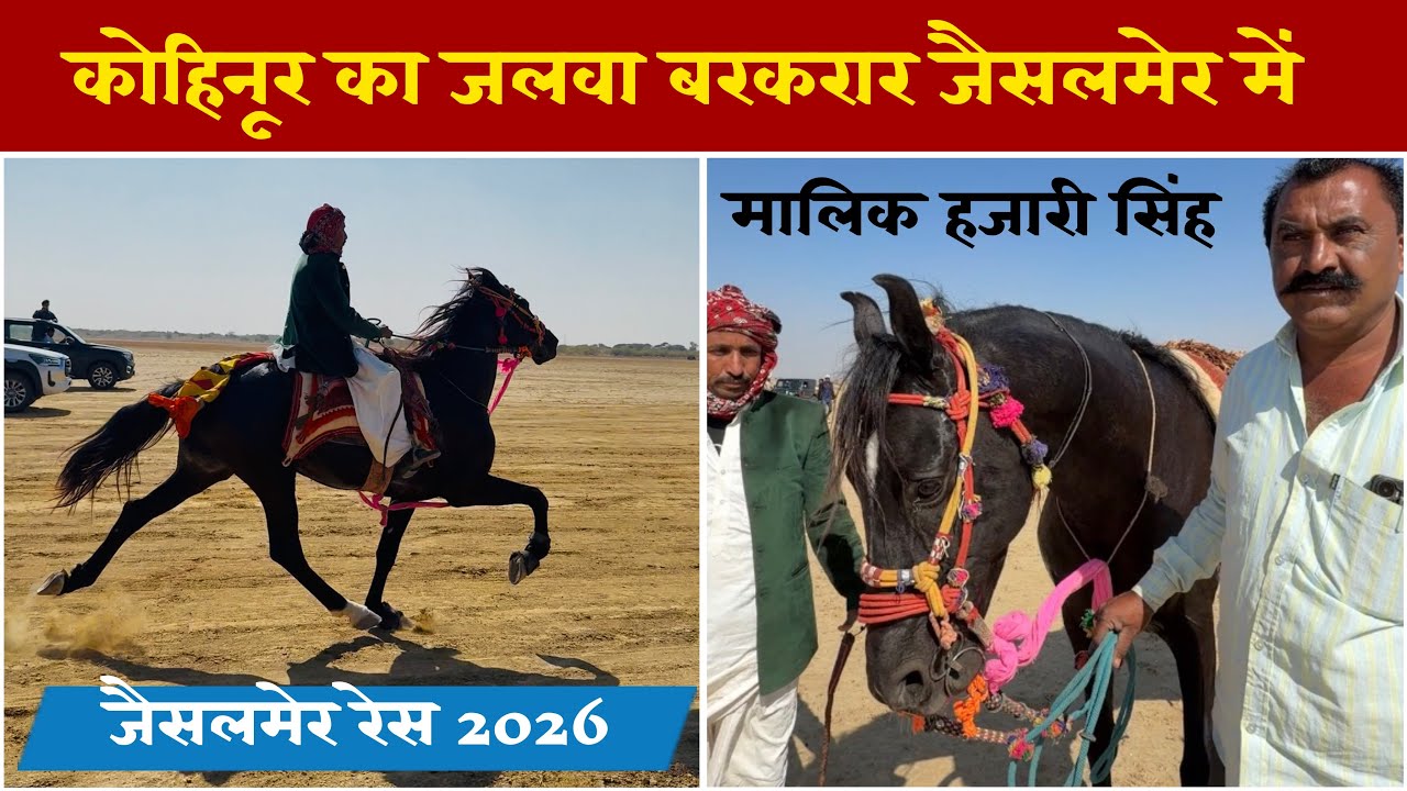 Kohinoor's glory continues in Jaisalmer | Desert Fair 2026 | Jaisalmer Race 2026 #jaisalmerrace2026