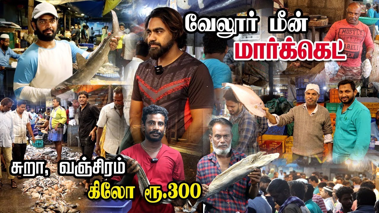 Vellore Fish Market Tour | மீன் ஏலம் விடும் நேரடி காட்சிகள்