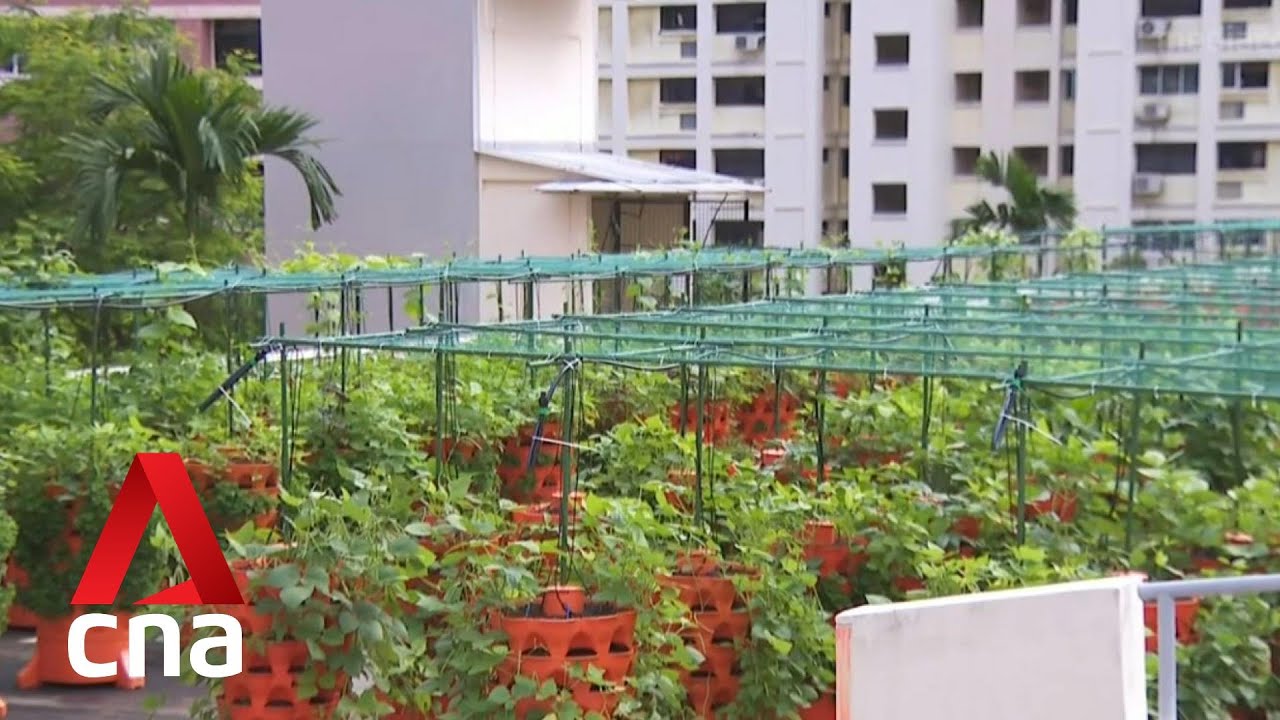 Flexible homes and workspaces among proposals for Singapore's development over next 50 years