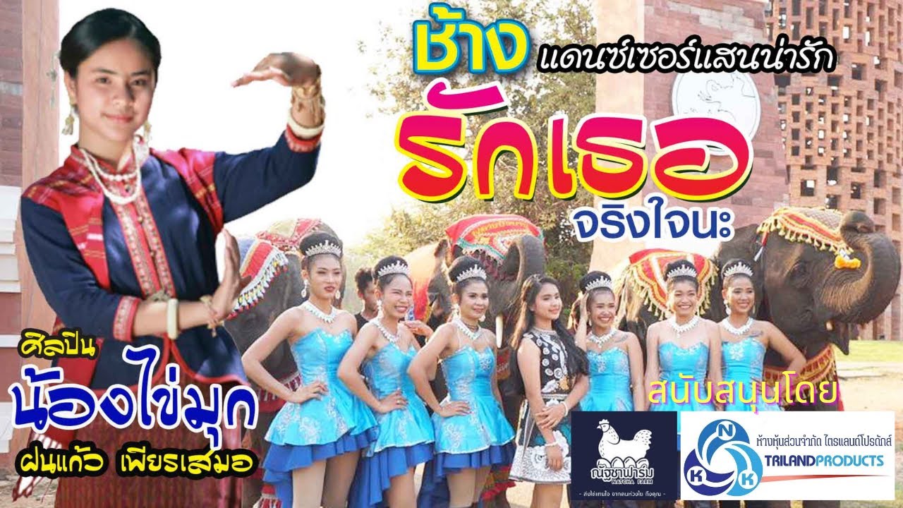 รักเธอจริงใจนะ น้องไข่มุก ฝนแก้ว เพียรเสมอ (Official MV) ช้างแดนซ์เซอร์ หนึ่งเดียวในโลก