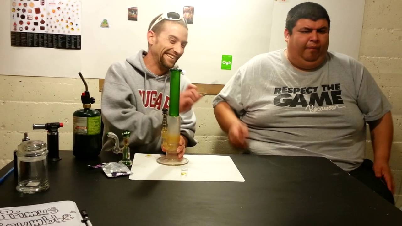 Strain Review Primus Crumble