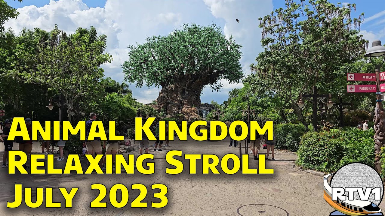Relaxing Stroll - Disney's Animal Kingdom - A Peaceful Afternoon - July 2023 - 4K 60fps