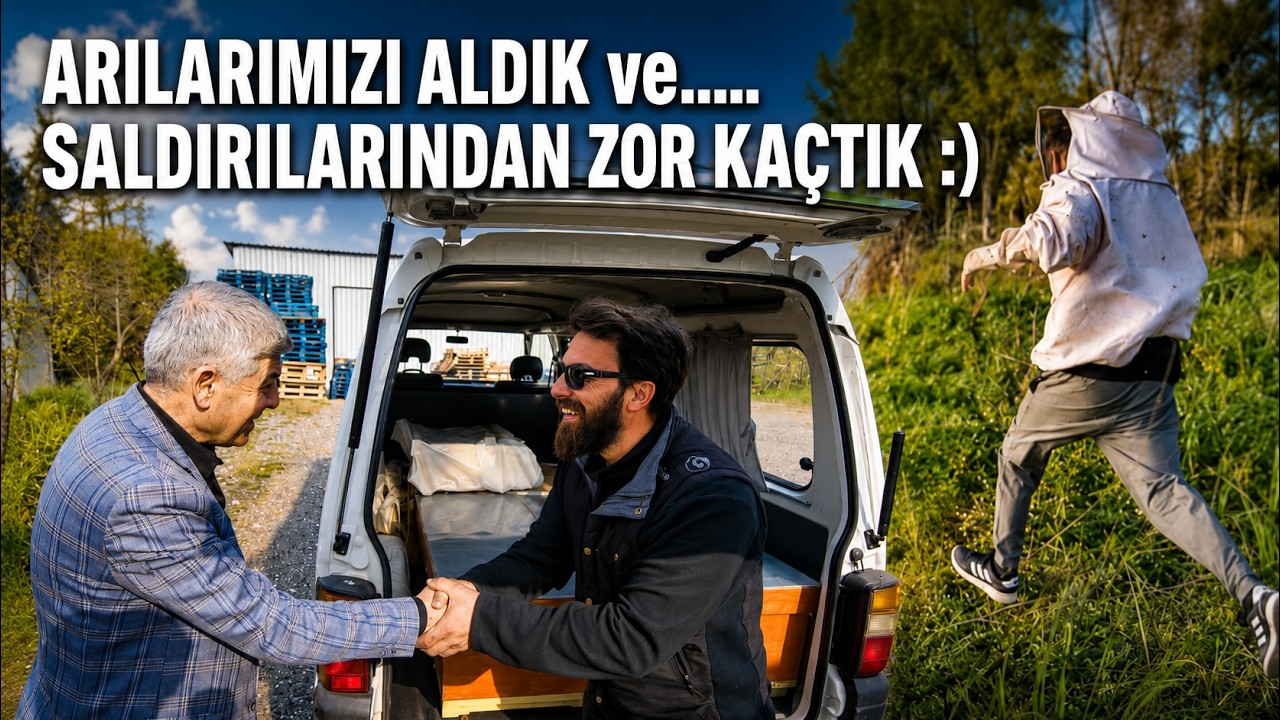 ARILARIN SALDIRISINA UĞRADIK :) - ARILARIMIZI ALDIK, PETEK SEÇİMİ, KOVAN YERLEŞTİRME ve AÇILIŞ ANI