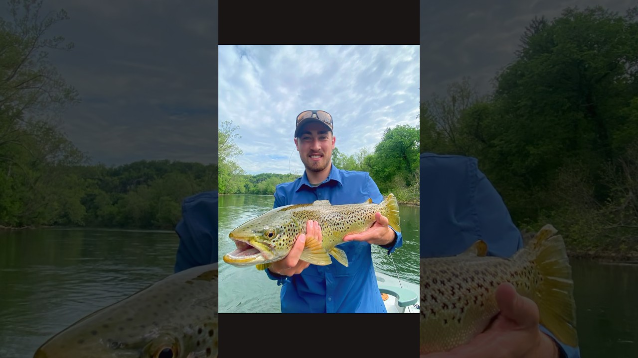Tennessee Brown ⛰️🧈