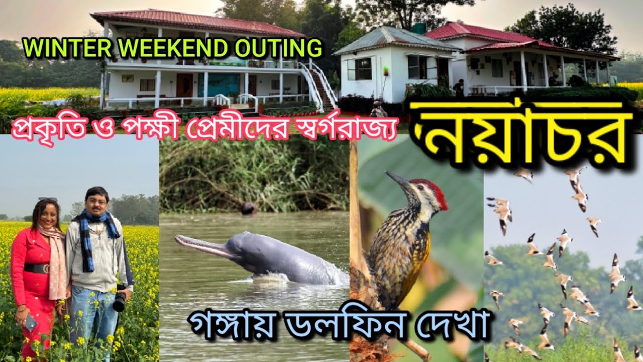 Nayachar - Paradise for Bird Watchers and Nature Lovers | Dolphin in Ganga | Day Outing in Winter