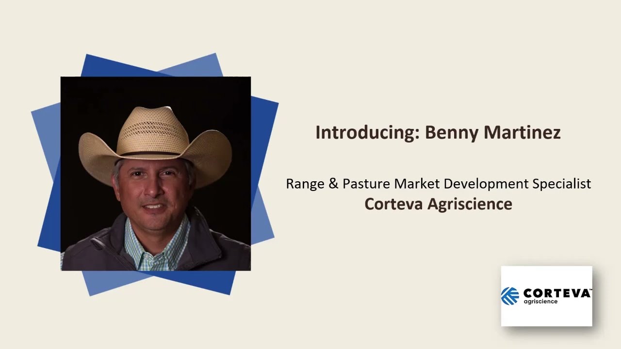 Wild at Work: Chemical applications for brush control