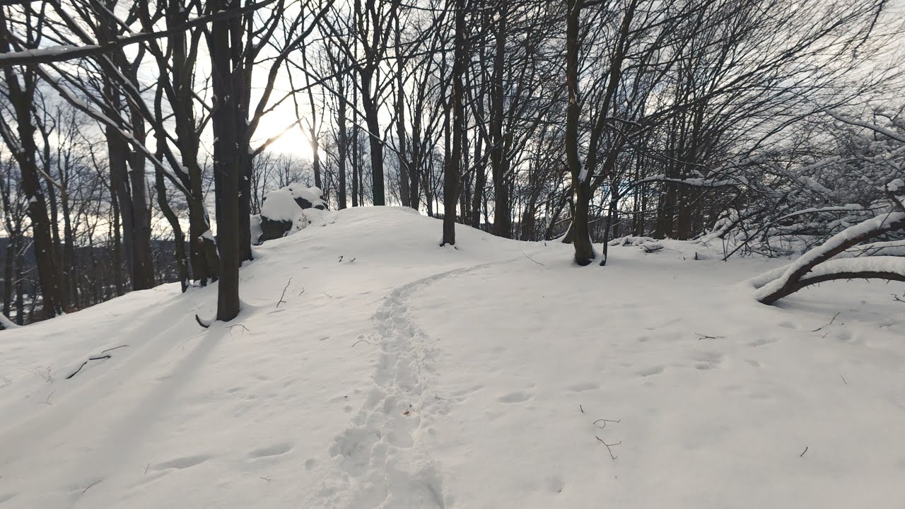 Walking Alone in a Snowy Forest ❄️ | ASMR | 4K 60FPS