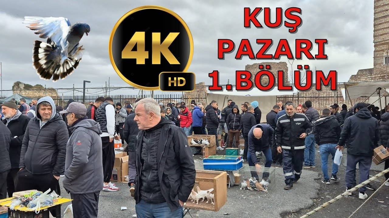 01.12.2024 Edirnekapı Kuş Pazarı