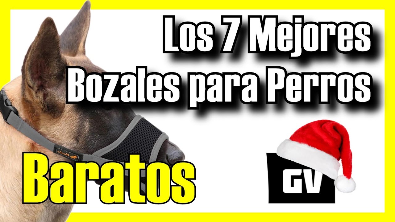 🔥 Los 7 MEJORES Bozales para Perros BUENOS y BARATOS de Amazon [2025]✅[Calidad/Precio] Grandes