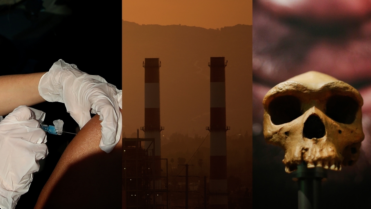 Fringe science theories gain momentum