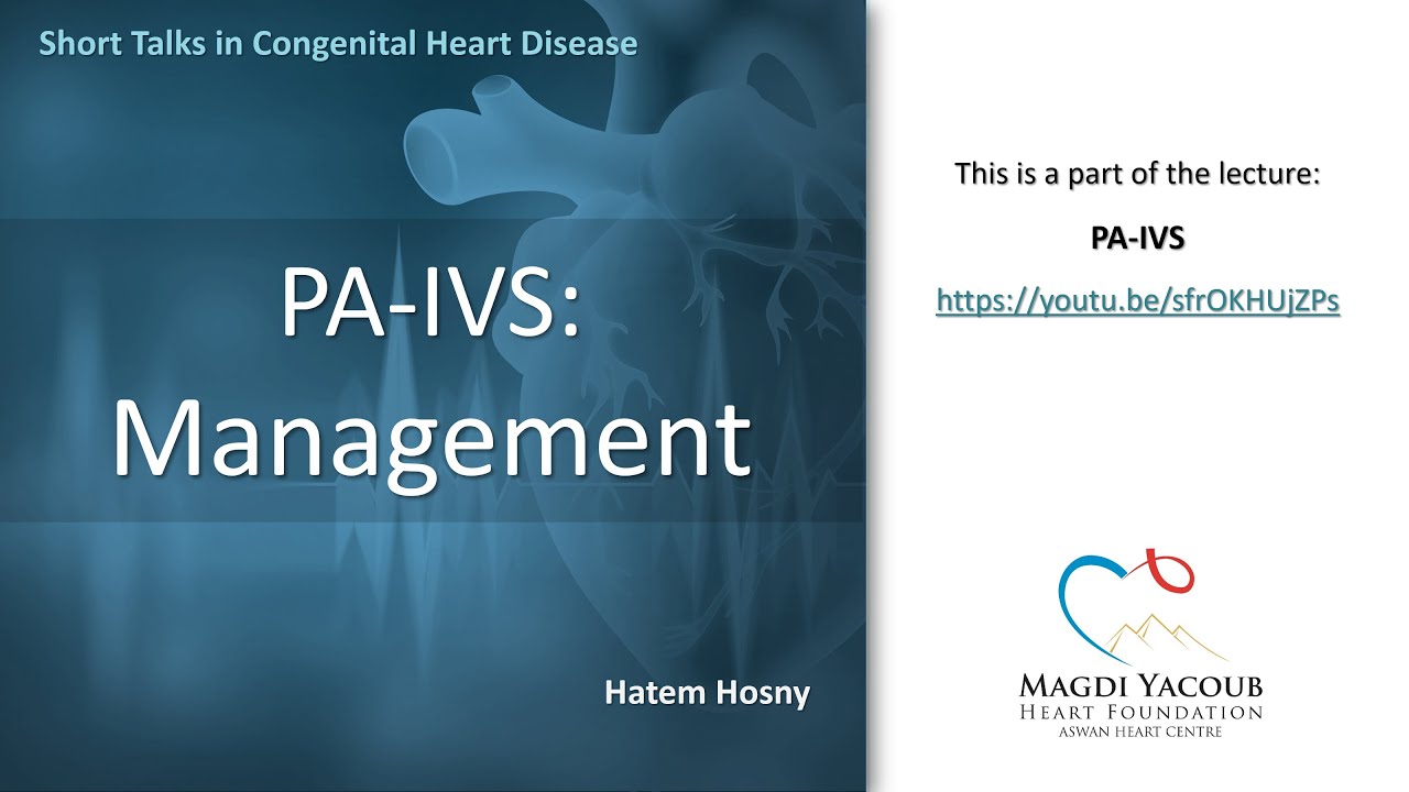 PA-IVS: Management - Hatem Hosny