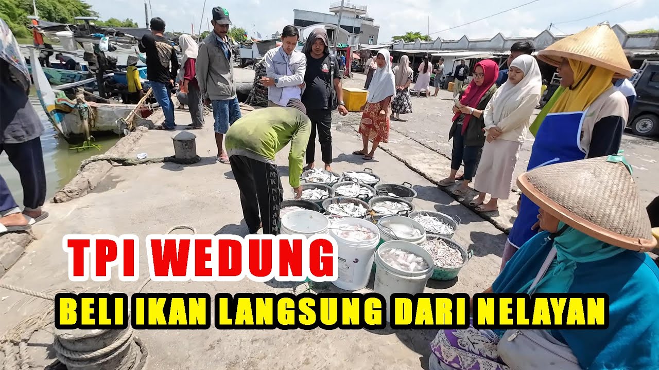 SUASANA SIANG HARI DI TPI WEDUNG DEMAK BANYAK PEMBELI IKAN LAUT SEGAR LANGSUNG DARI NELAYAN