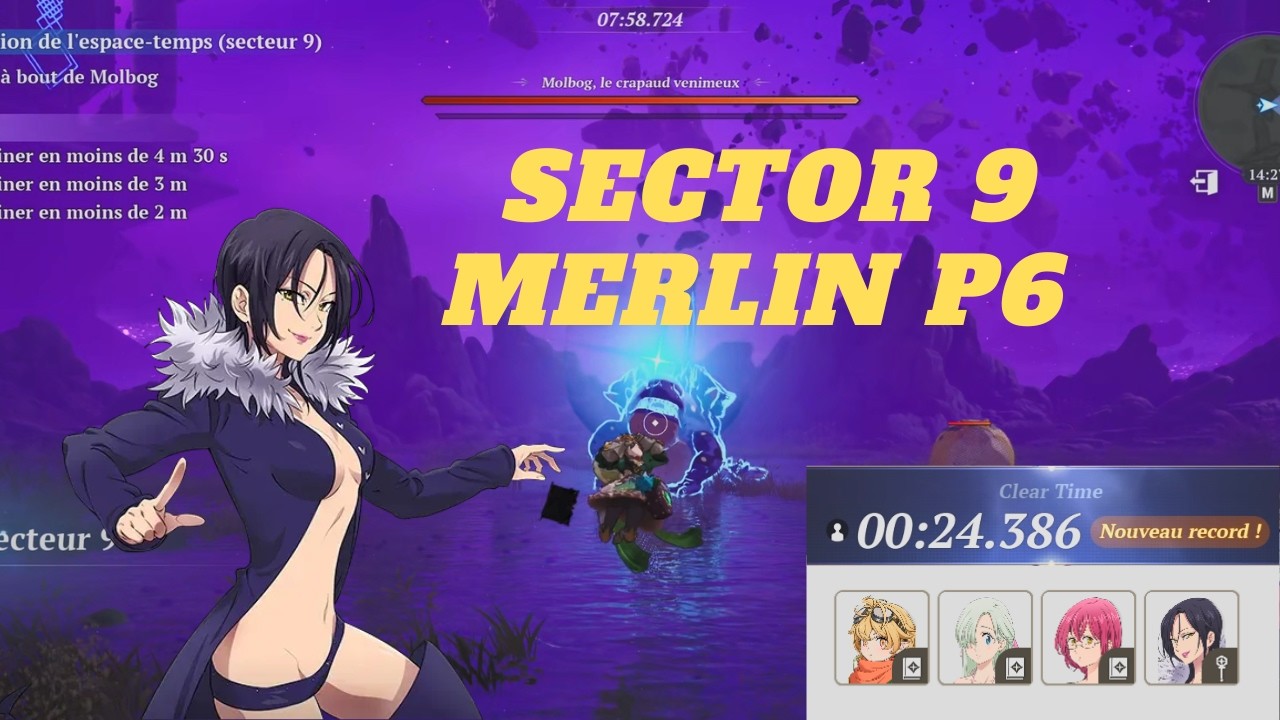 SECTOR 9 MERLIN P6