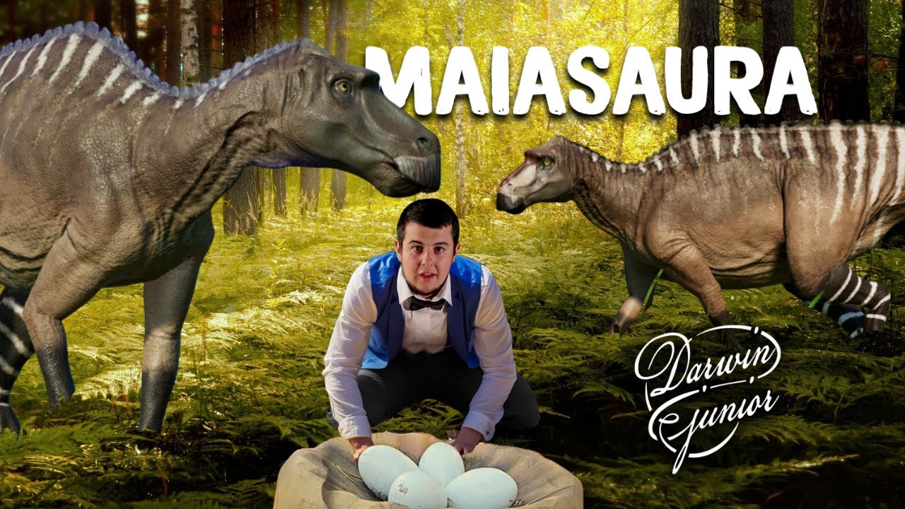DINOPEDIA S2 #3 - MAIASAURA