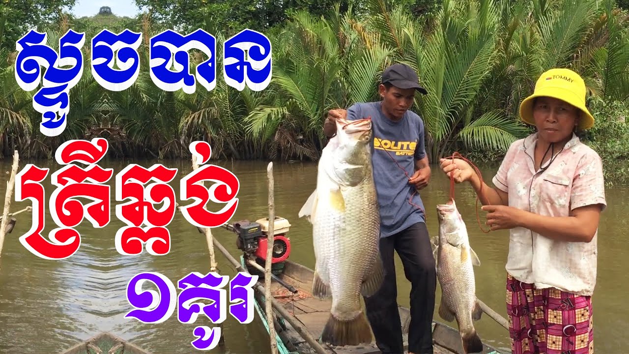 ថ្ងៃនេះស្ទូចបានត្រីឆ្ពង់ពីរ ទម្ងន់ជិតប្រាំបីគីឡូ These Fish is so big and fresh Bong LaorTV