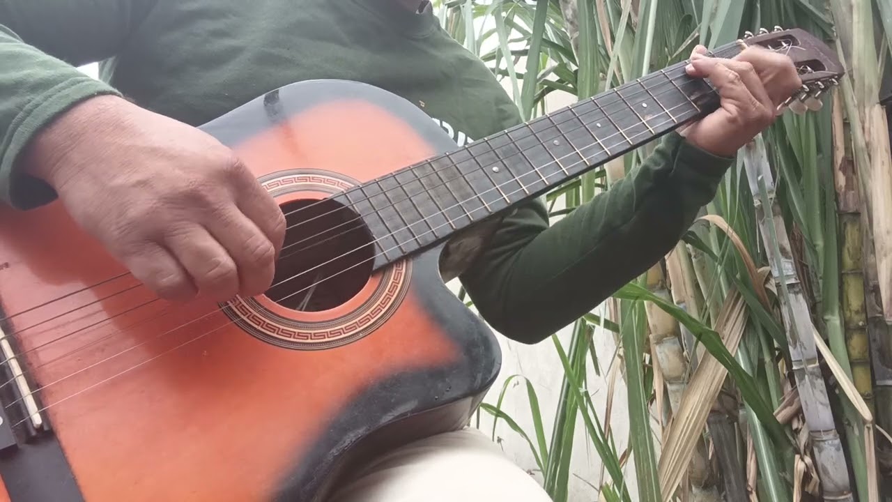 Não  Desistir  sólo violão 