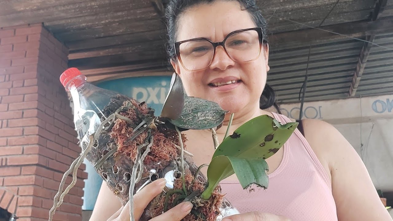 ❤️COMO VC PODE PLANTAR  EM UM TRONCO ECOLÓGICO DE GARRAFA PET 
