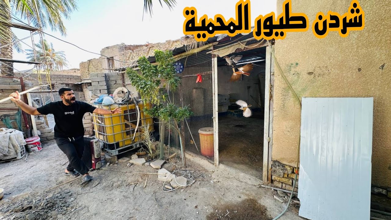 فلشت المحمية وشردن الطيور 😱