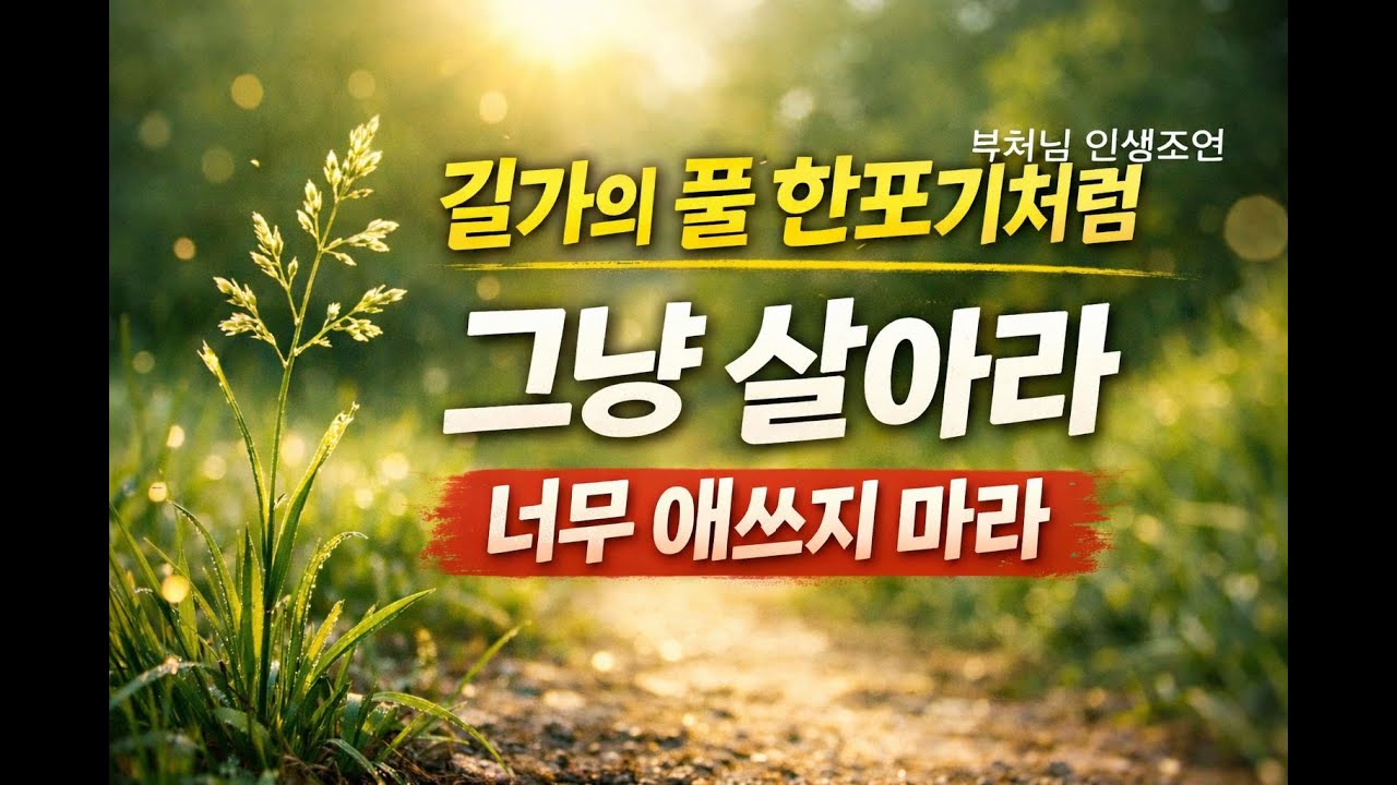 너무 애쓰며 살지 마세요 | 길가의 풀처럼 살아도 됩니다 | 부처님 인생조언 | 매일 들으세요 | 마음이 지칠 때 부처님이 전하는 조용한 위로