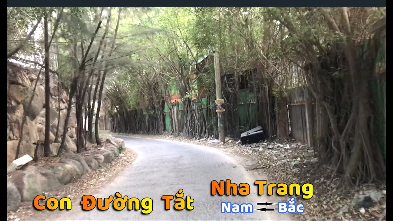 Đi Đường Tắt i.Resort Qua Cây Cầu Gỗ Nối Liền Nam - Bắc Nha Trang l Lang Thang Nha Trang.