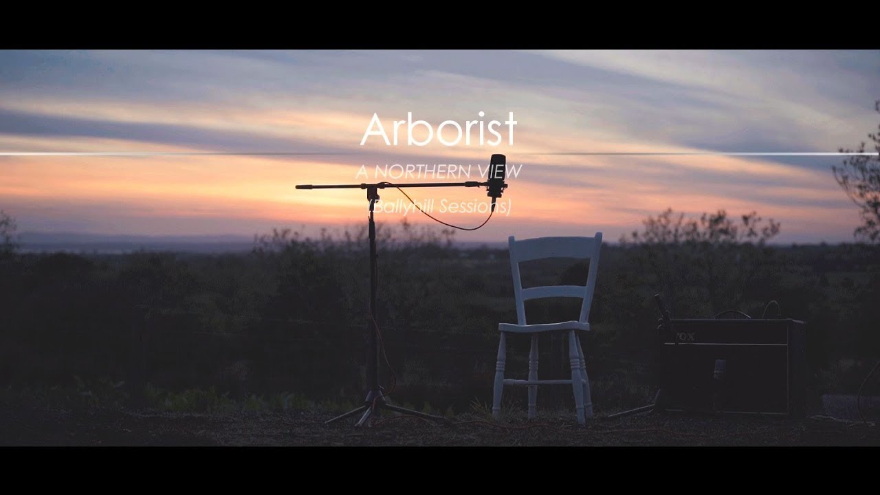Arborist - A Northern View (Live)