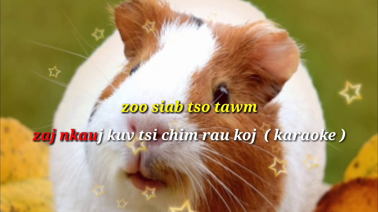 Kuv tsi chim rau koj nkauj  ( karaoke )