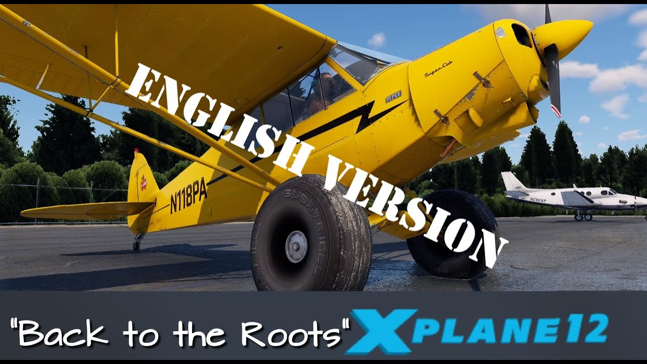 X-Plane12: Back to the Roots - English Version