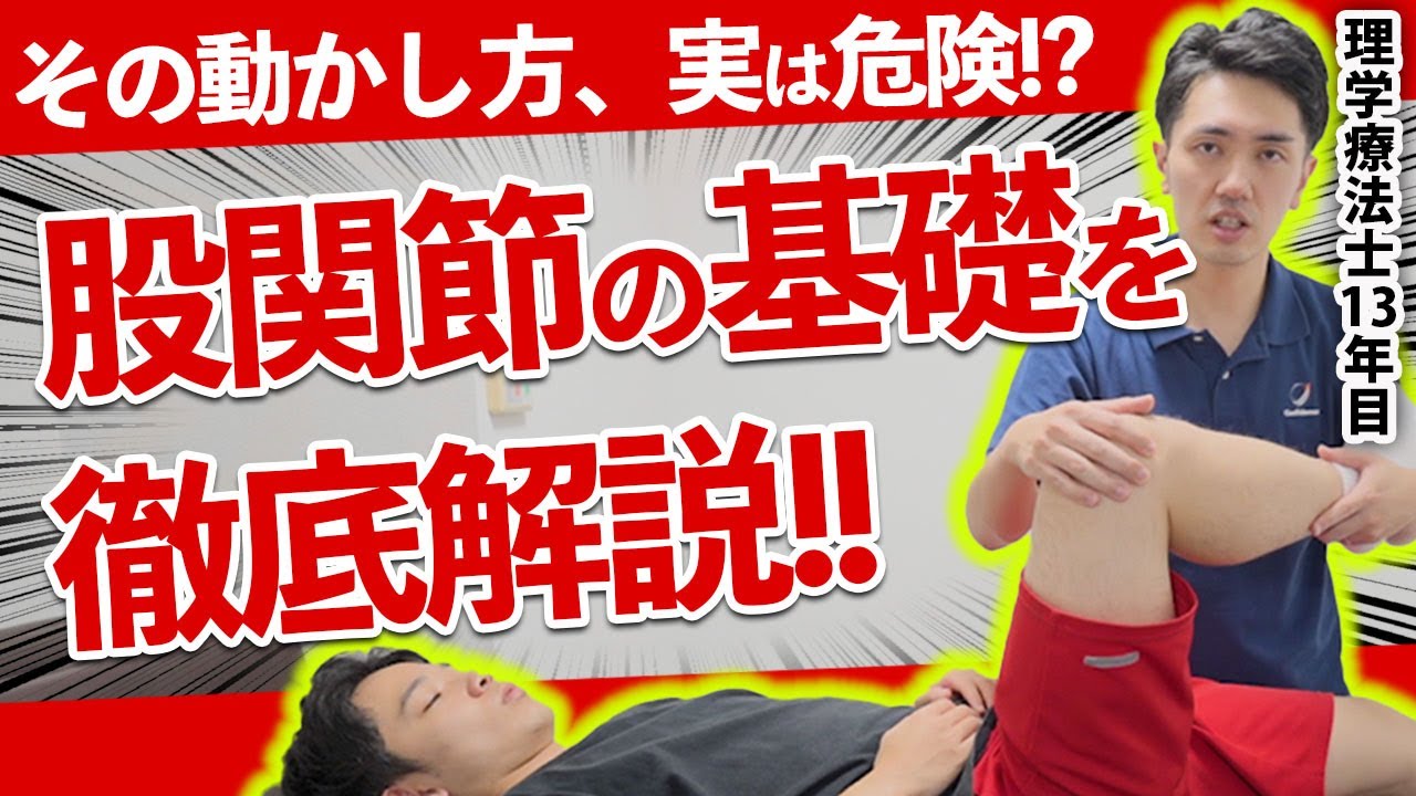 【超シンプル】股関節の基礎について徹底解説しました！
