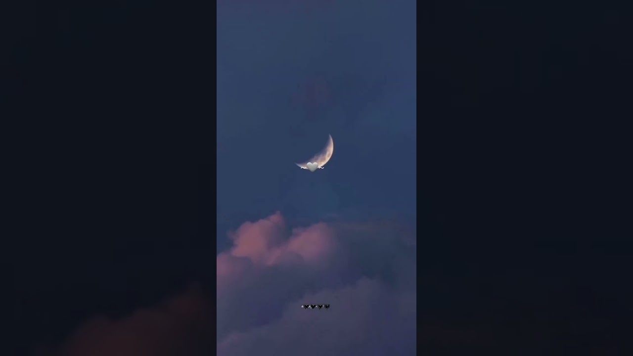 moon 🌙......#aesthetic #edm #music #tulip #flowerlover #aesthtics #remix#moon 🌙🌙#moonlovers